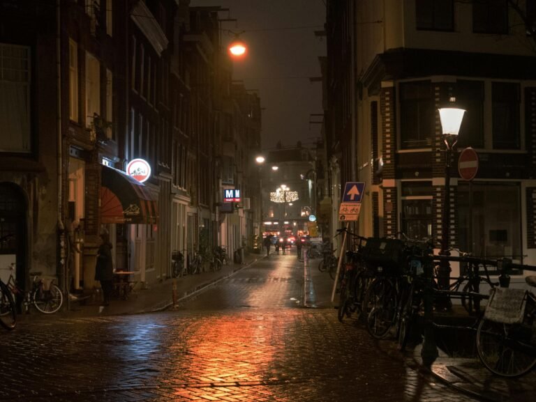 Benefits of Using Solar Street Lights for Homes & Businesses